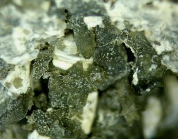 Liottite & Fassaite