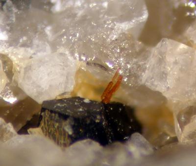Calciobetafite