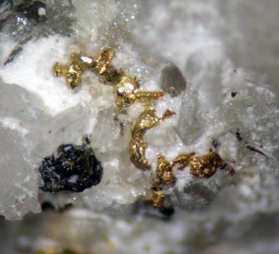 Gold With Sphalerite