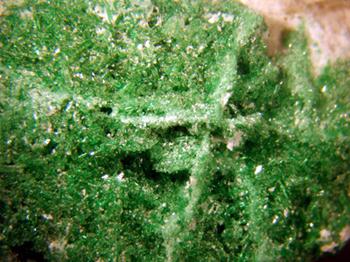 Natrochalcite