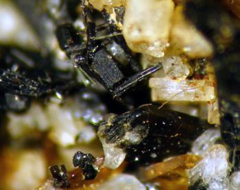 Perrierite-(Ce)