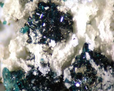 Lammerite & Lavendulan