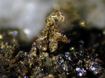 Gold With Sphalerite