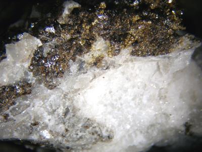 Gold With Sphalerite