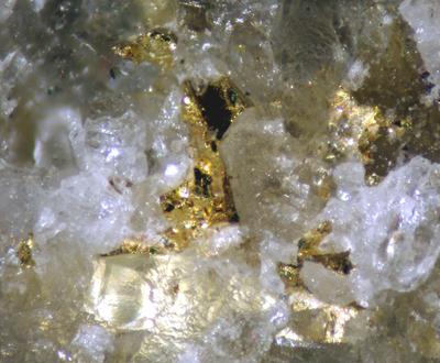 Gold With Sphalerite