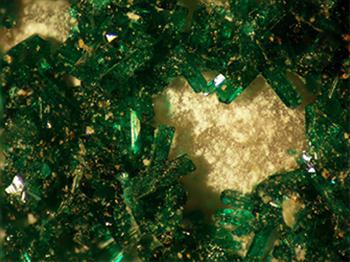 Natrochalcite With Atacamite