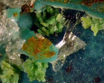 Volborthite & Chrysocolla