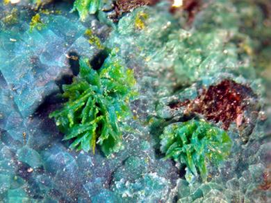 Volborthite With Chrysocolla