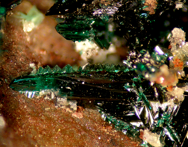 Anatacamite & Tamarugite