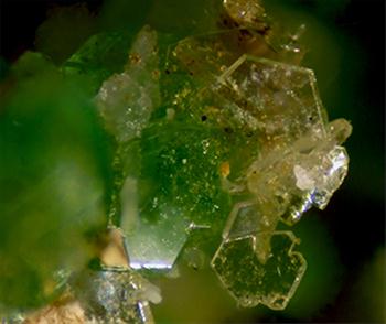 Changoite Kröhnkite & Caracolite