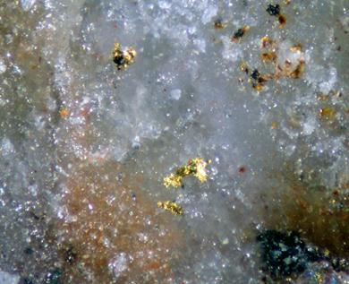 Chlorargyrite With Gold