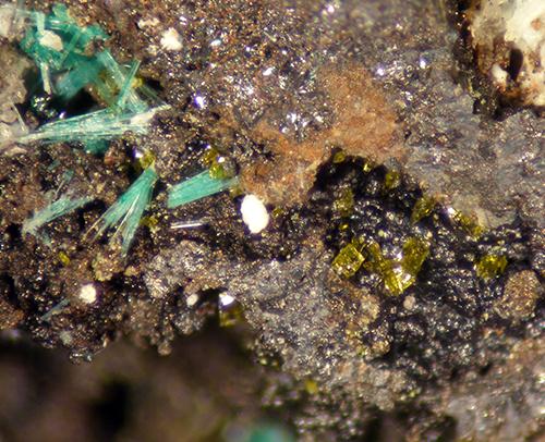 Molybdofornacite Malachite & Wulfenite