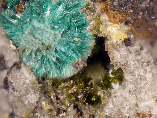 Molybdofornacite Malachite & Wulfenite