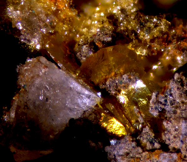 Seeligerite & Pseudoboleite