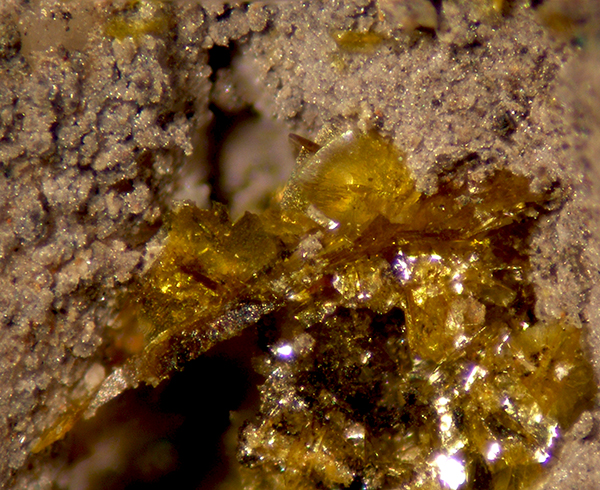 Seeligerite & Pseudoboleite