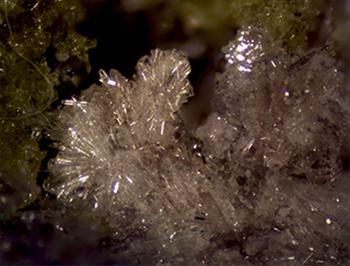 Yavapaiite Alcaparrosaite Krausite & Coquimbite