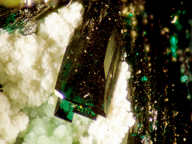 Atacamite Olivenite & Halloysite