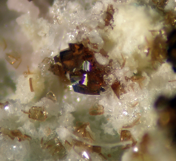 Canutite Magnesiokoritnigite & Lavendulan