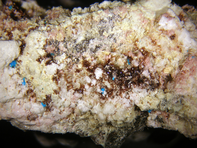 Canutite Magnesiokoritnigite & Lavendulan