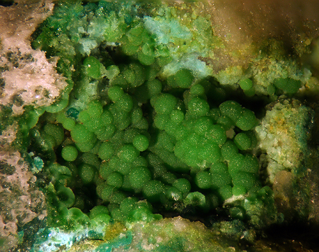 Gilmarite & Conichalcite