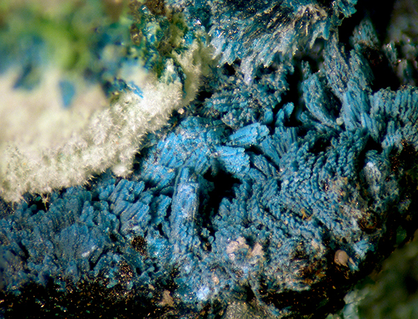 Gilmarite Conichalcite & Manganoan Olivenite