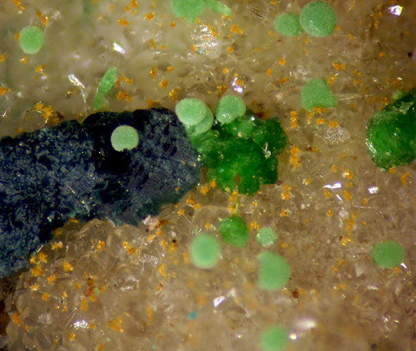 Gilmarite Conichalcite & Manganoan Olivenite