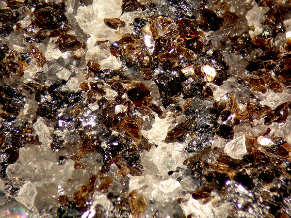 Magnetoplumbite & Manganophyllite