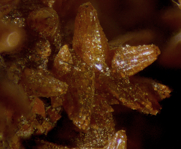 Monheimite