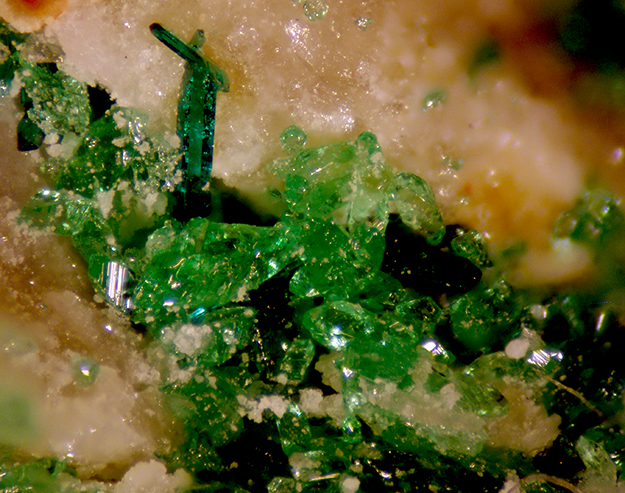 Natrochalcite & Atacamite