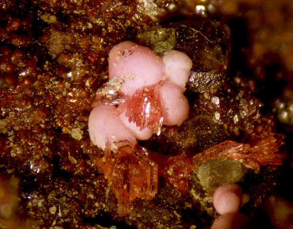 Rhodochrosite & Erythrite