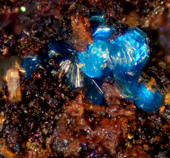 Sampleite