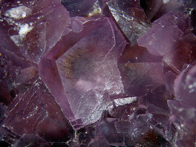 Cobaltoan Calcite