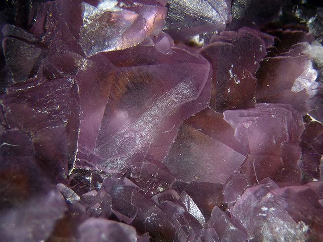 Cobaltoan Calcite