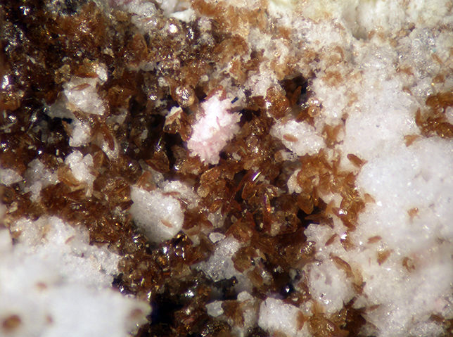 Canutite Magnesiokoritnigite & Lavendulan