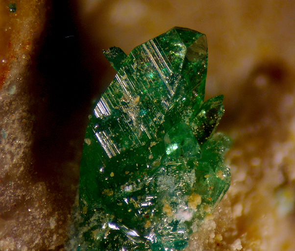 Natrochalcite & Atacamite