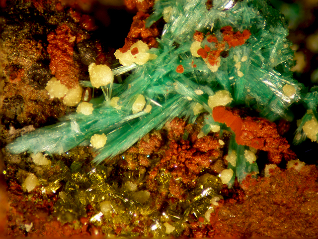 Molybdofornacite & Malachite