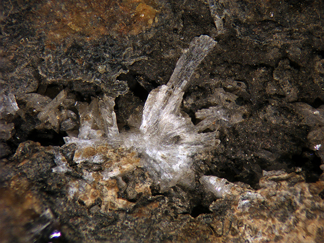 Brandtite