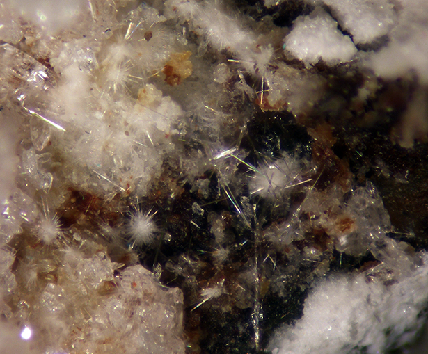 Canutite Magnesiokoritnigite Lavendulan & Halite