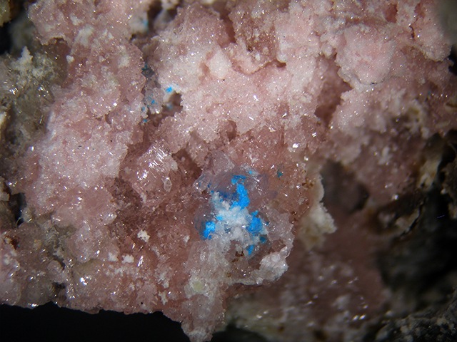 Canutite Magnesiokoritnigite Lavendulan & Halite