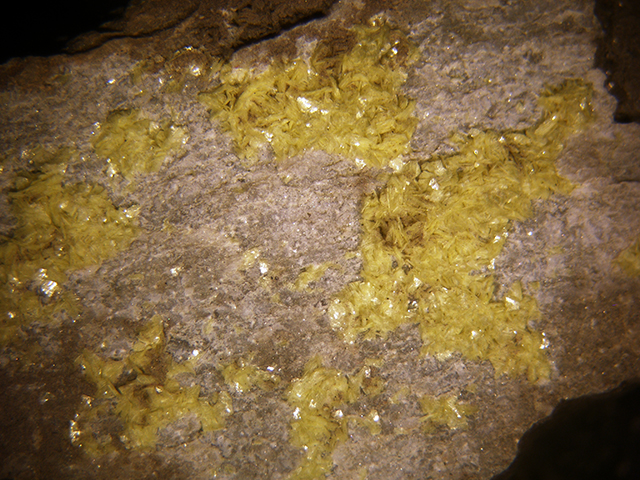 Autunite