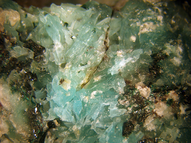 Kröhnkite & Paratacamite