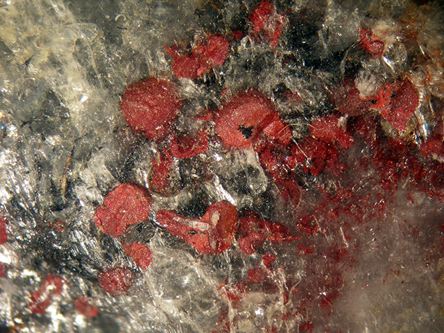 Cinnabar & Gypsum