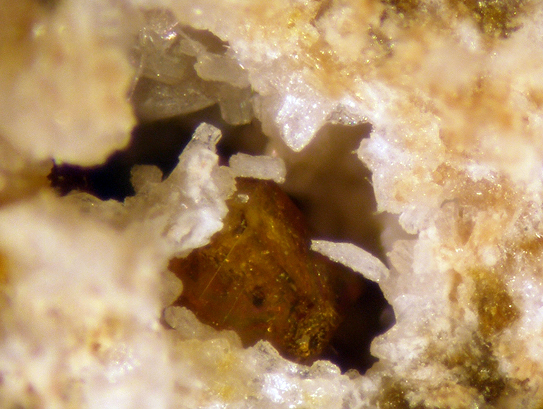 Tridymite & Andradite