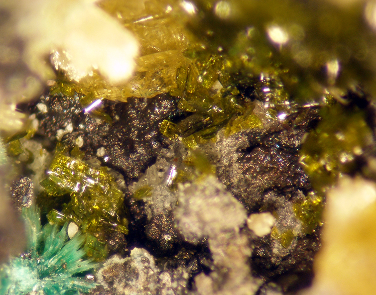 Molybdofornacite & Wulfenite