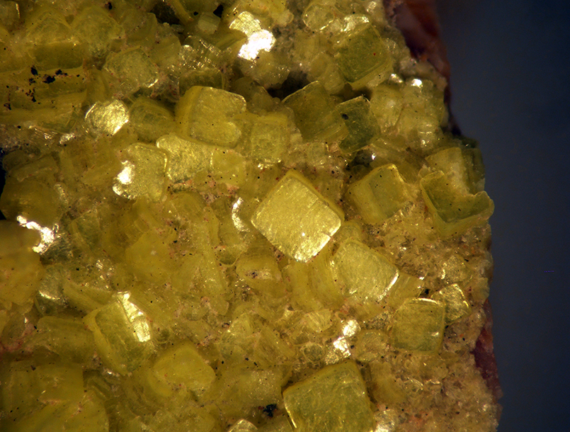 Autunite