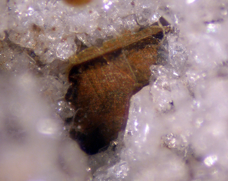 Osumilite-(Mg) & Phlogopite