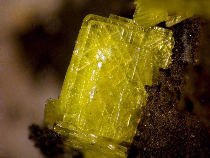 Meta-autunite & Uranocircite