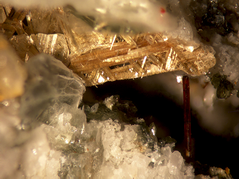 Rutile & Brookite