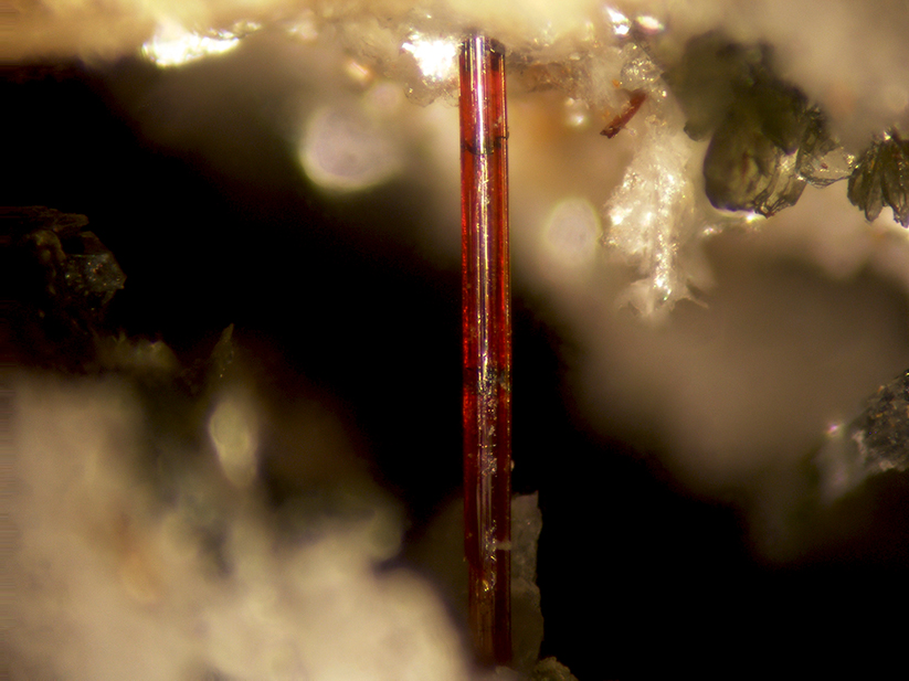 Rutile & Brookite