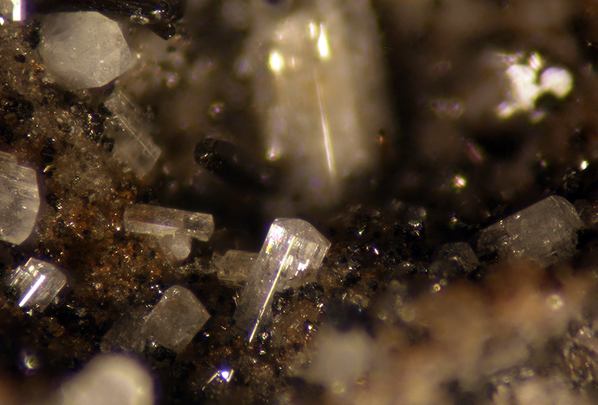 Microsommite & Augite